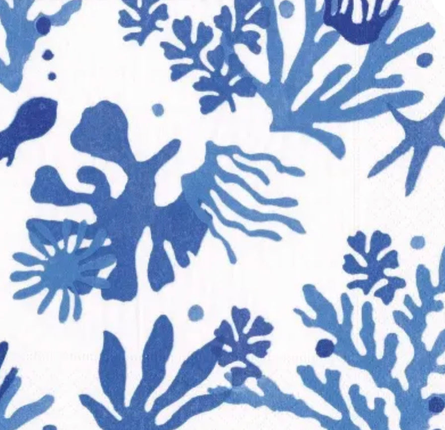 Blue & White Coral Print