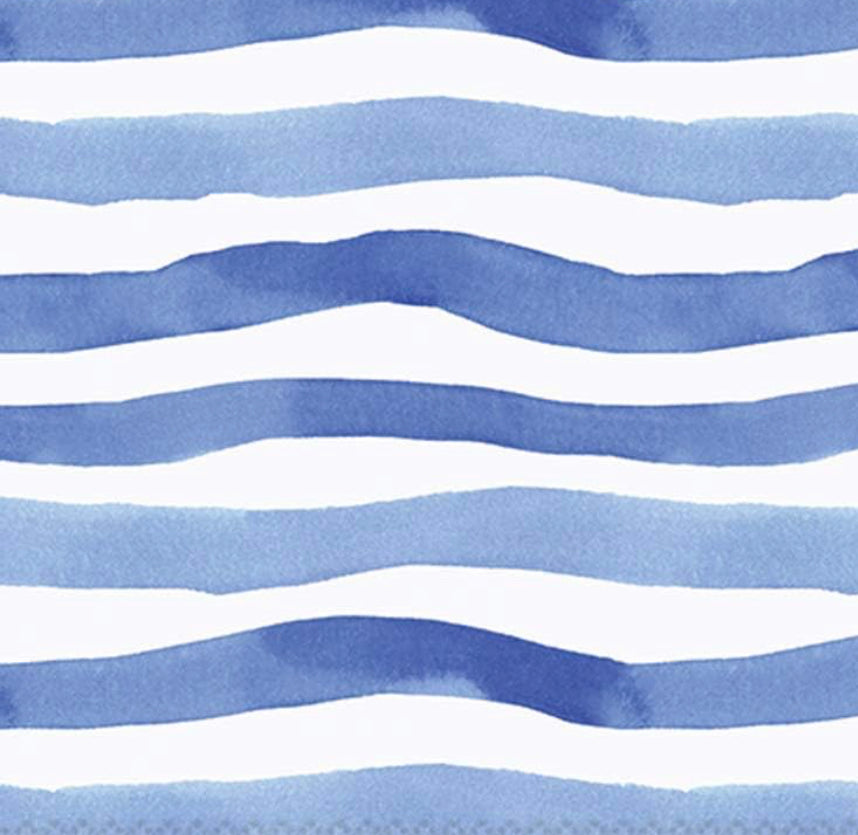 Blue & White Stripe Print 