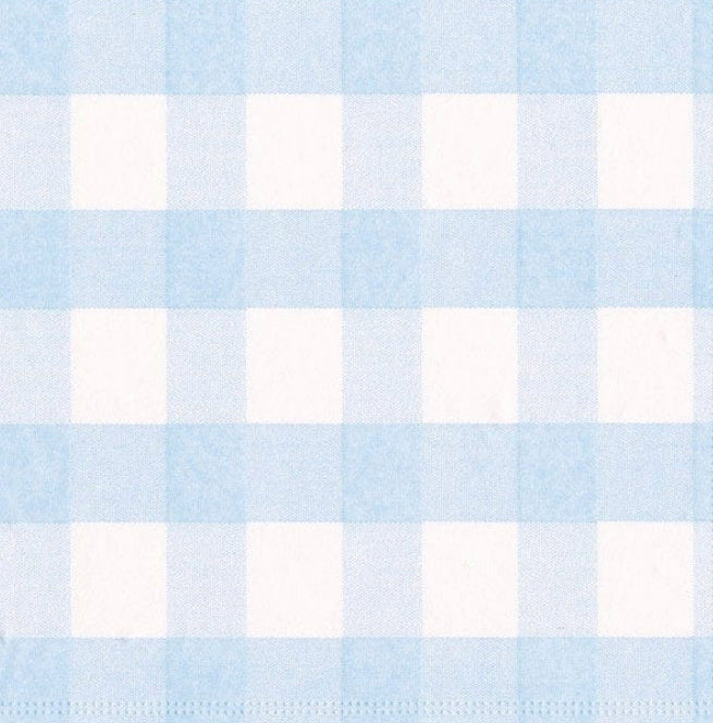 Light Blue Gingham Print